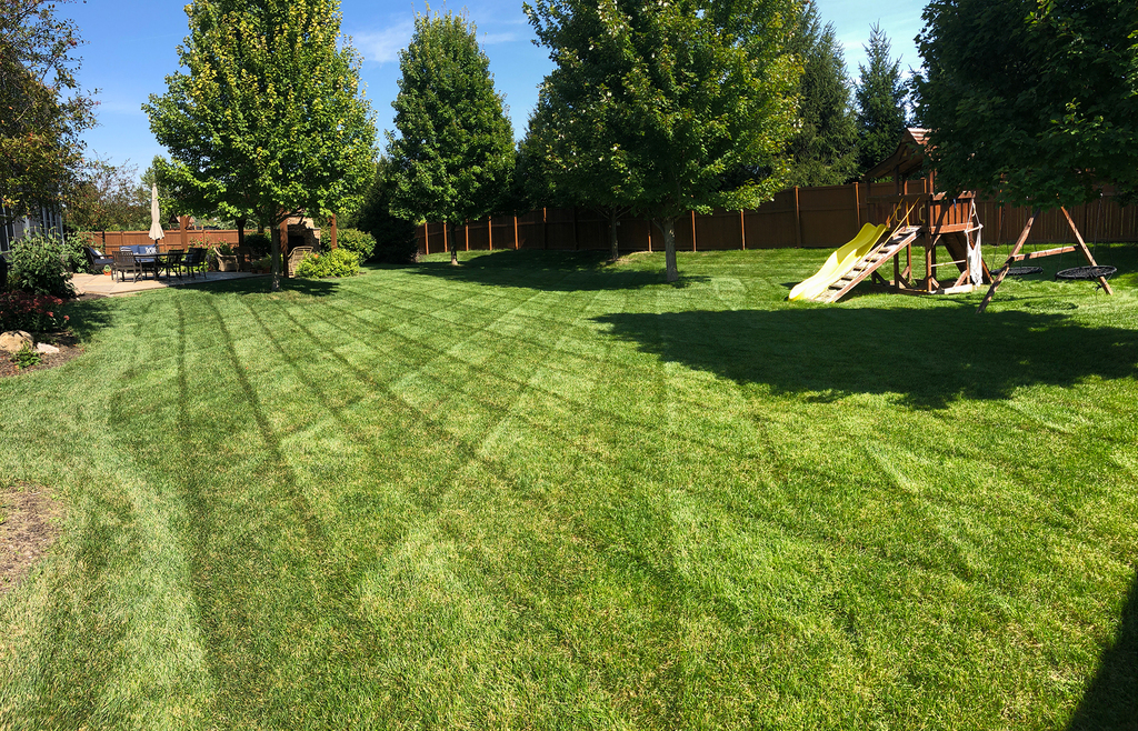Lawn Mowing Services of Fishers, IN